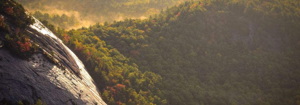 CSS Snippets Collection